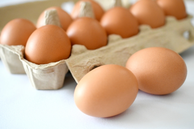 名古屋市名物名古屋コーチンメインビジュアル